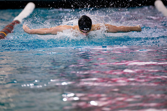 swimming_2025-02-08_ah_0101