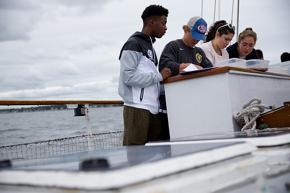 marinebio_soundwater_us_mkras_0321