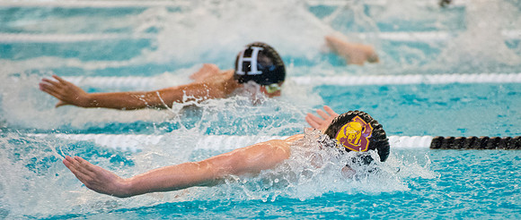 swimming_2016-01-06_dburns_3399