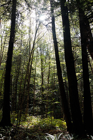randolphvt1819_trip02_propertyhike_bdf_4511