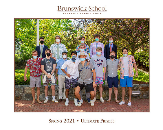 team_spring2021_frisbee