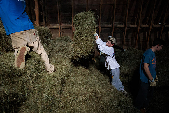 randolphvt1819_trip01_goatfarm_bdf_7431