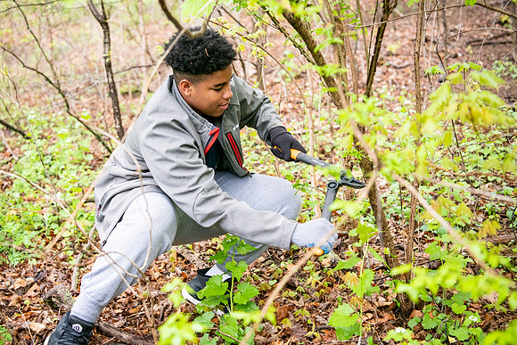 commserv19_greenclean_wkl_4543