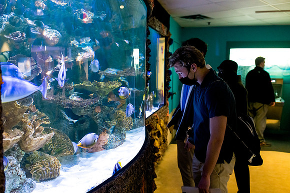 aquarium_us_ah_0002