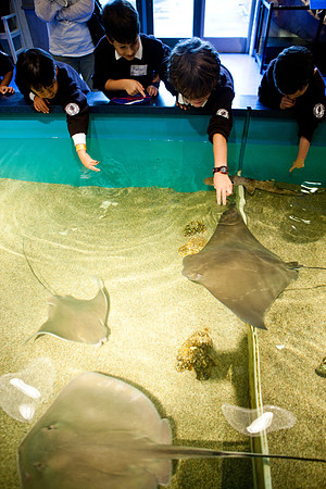 aquarium_ls_mkras_2316
