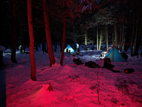 randolphvt2223_trip04_submitted_ddych_215652349
