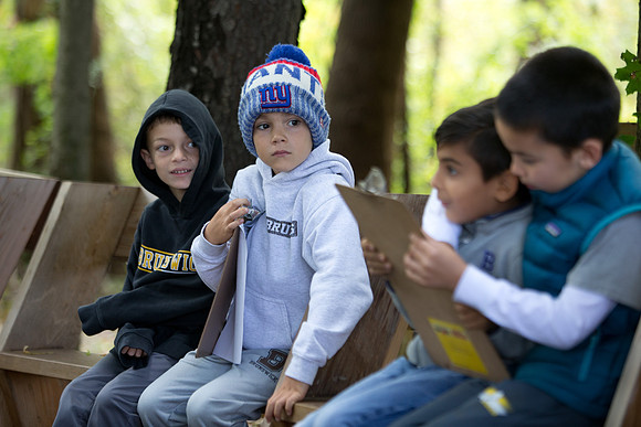 outdoorclassroom_ls_mkras_0144
