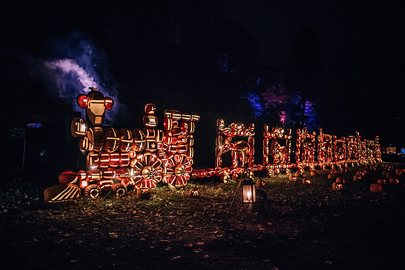 pumpkinblaze17_hp_3684