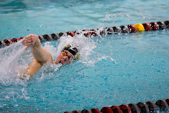swimming_2025-02-08_ah_0114