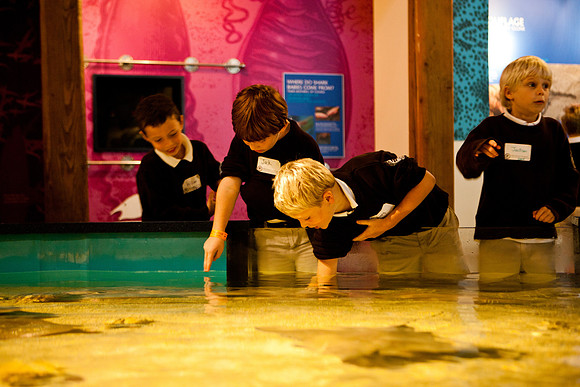 aquarium_ls_mkras_2324