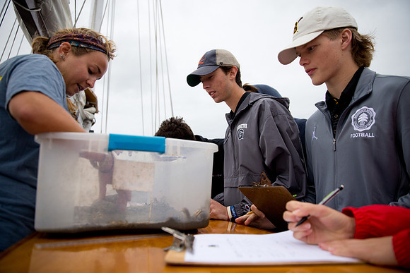 marinebio_soundwater_us_mkras_0073