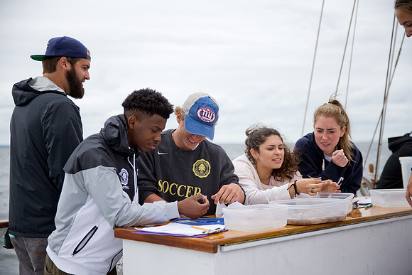 marinebio_soundwater_us_mkras_0340