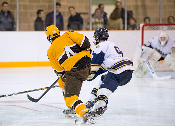 hockey_2015-12-04_db_9401