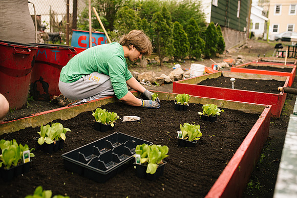 commserv17_habitat_ah_0339