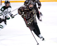 hockey_2022-01-21_dburns_0181