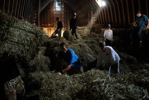 randolphvt1819_trip01_goatfarm_bdf_7350