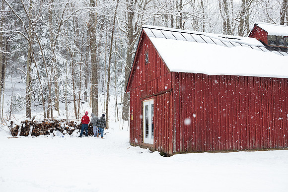 randolphvt1819_trip04_snowday_bdf_4759