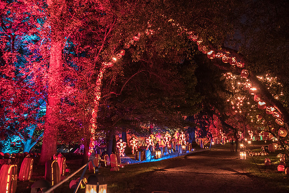 pumpkinblaze_hp_8412