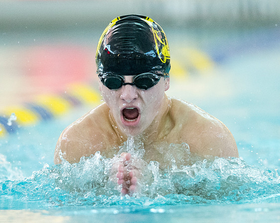 swimming_dburns_2217