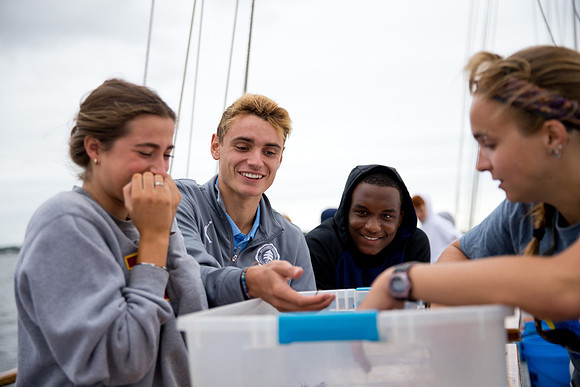marinebio_soundwater_us_mkras_0131