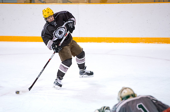 hockey_2016-01-09_dburns_3757
