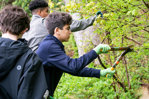 commserv19_greenclean_wkl_4531