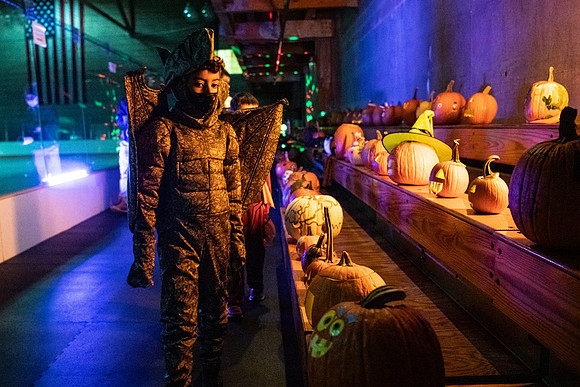 pumpkinparade_psls_wkl_4246