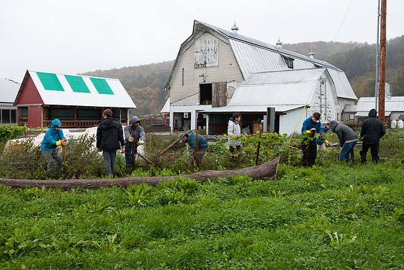 randolphvt1819_trip02_goatfarm_bdf_6265