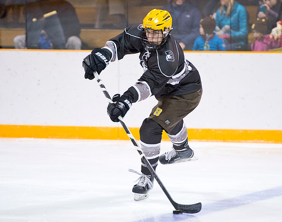 hockey_2016-01-09_dburns_3800