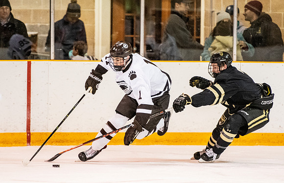 hockey_2018-12-08_dburns_2088
