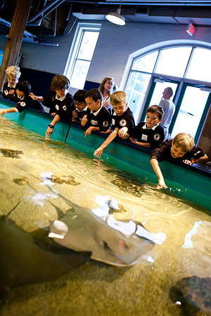 aquarium_ls_mkras_2319