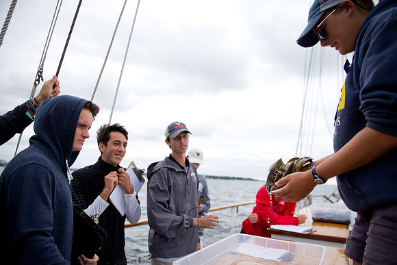 marinebio_soundwater_us_mkras_0215