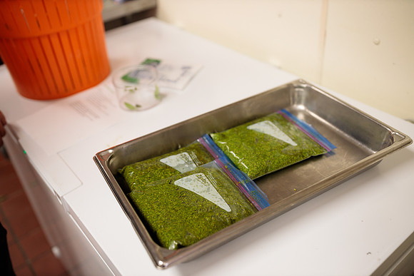 randolphvt2122_trip01_pesto_bdf_4572