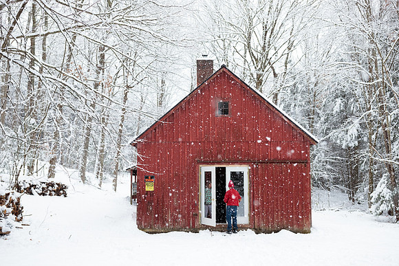 randolphvt1819_trip04_snowday_bdf_4745