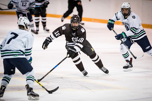 hockey_2018-01-27_wkl_8351