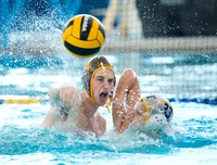 Water Polo, Varsity