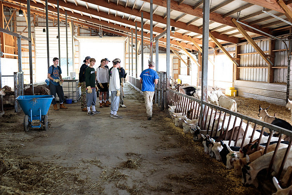 randolphvt1819_trip01_goatfarm_bdf_2191