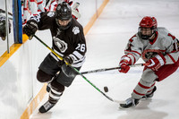 hockey_2022-02-02_dburns1_4484