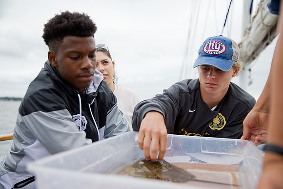 marinebio_soundwater_us_mkras_0203