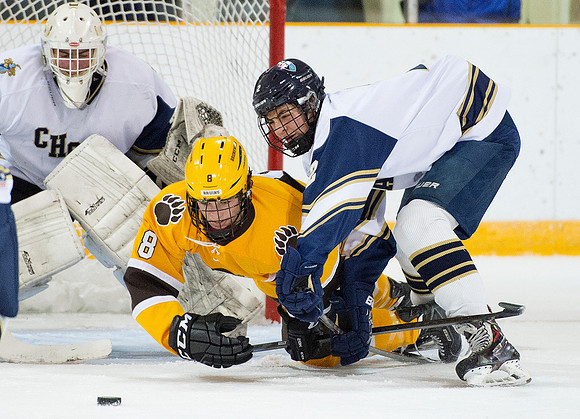 hockey_2015-12-04_db_9591