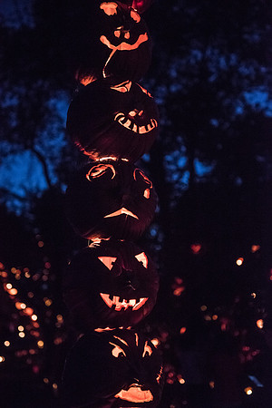 pumpkinblaze_hp_8204