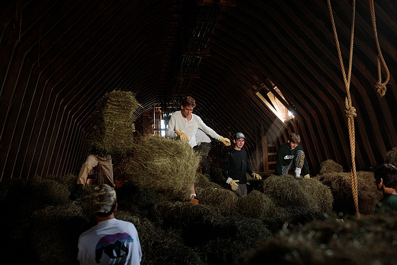 randolphvt1819_trip01_goatfarm_bdf_2354