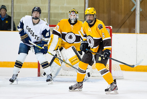 hockey_2015-12-04_db_9575