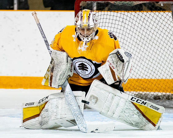 hockey_2019-01-12_dburns_4606