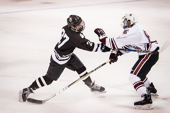 hockey_2018-01-29_wkl_9620