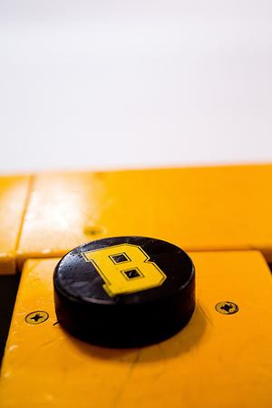 hockey_2017-02-03_mkras_065