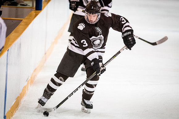hockey_2018-01-27_wkl_8053