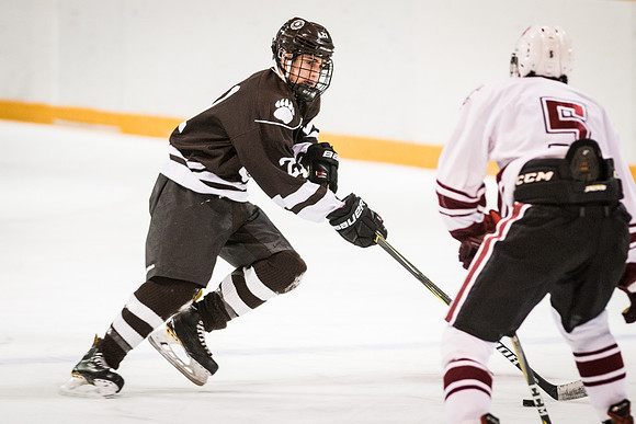 hockey_2018-01-29_wkl_9556