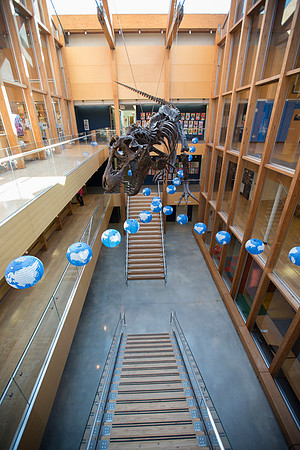 globes_mgraae_0004
