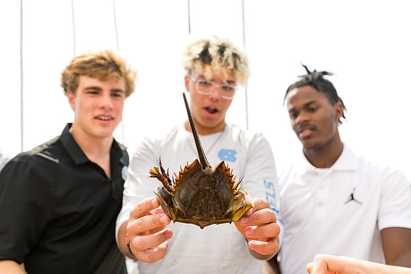 marinebio_soundwaters22_us_ah_0064